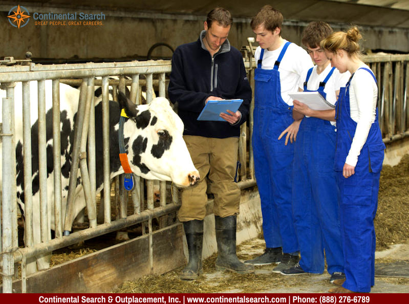 animal science degree