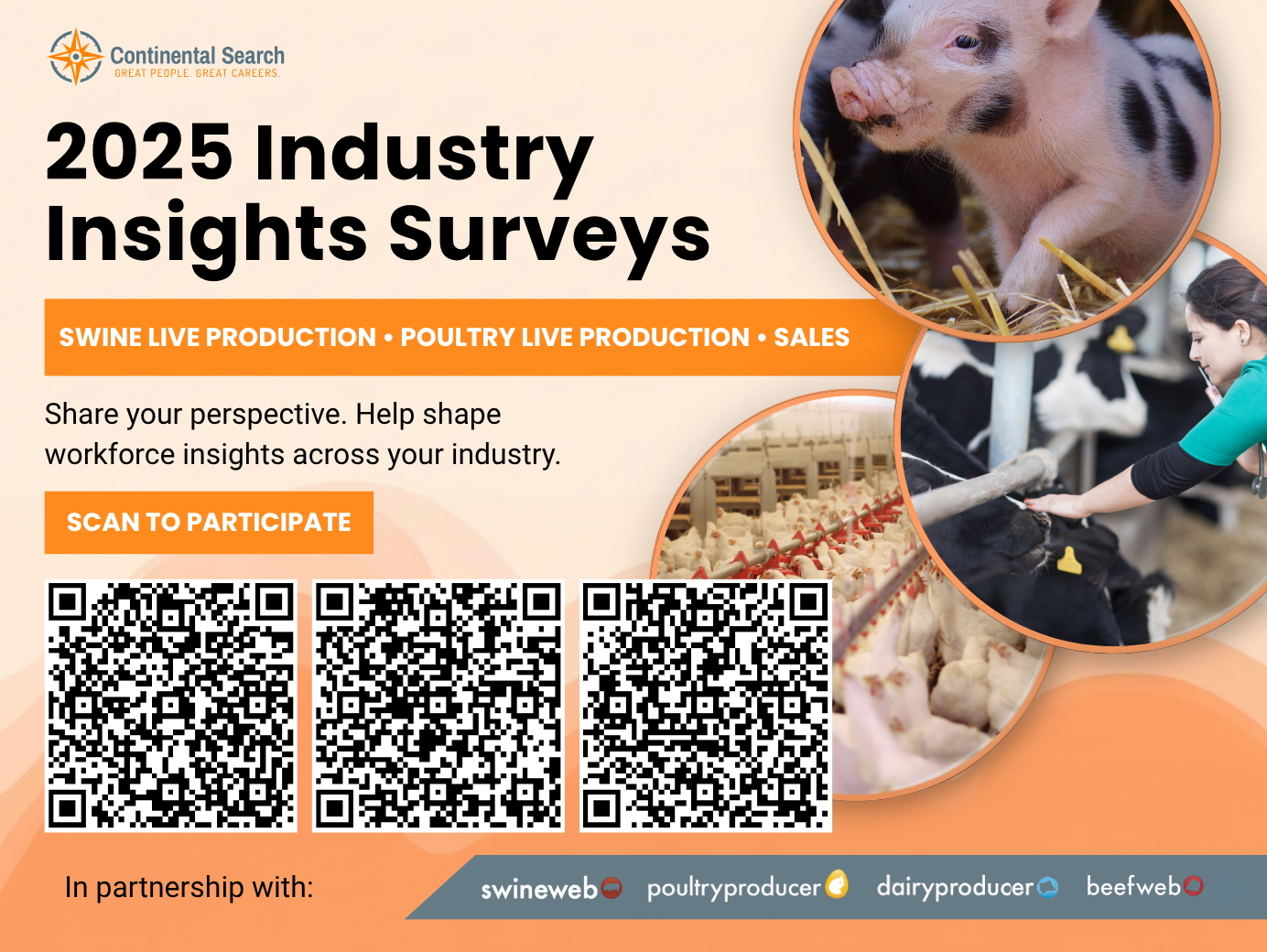continental search launches 2025 industry insights surveys