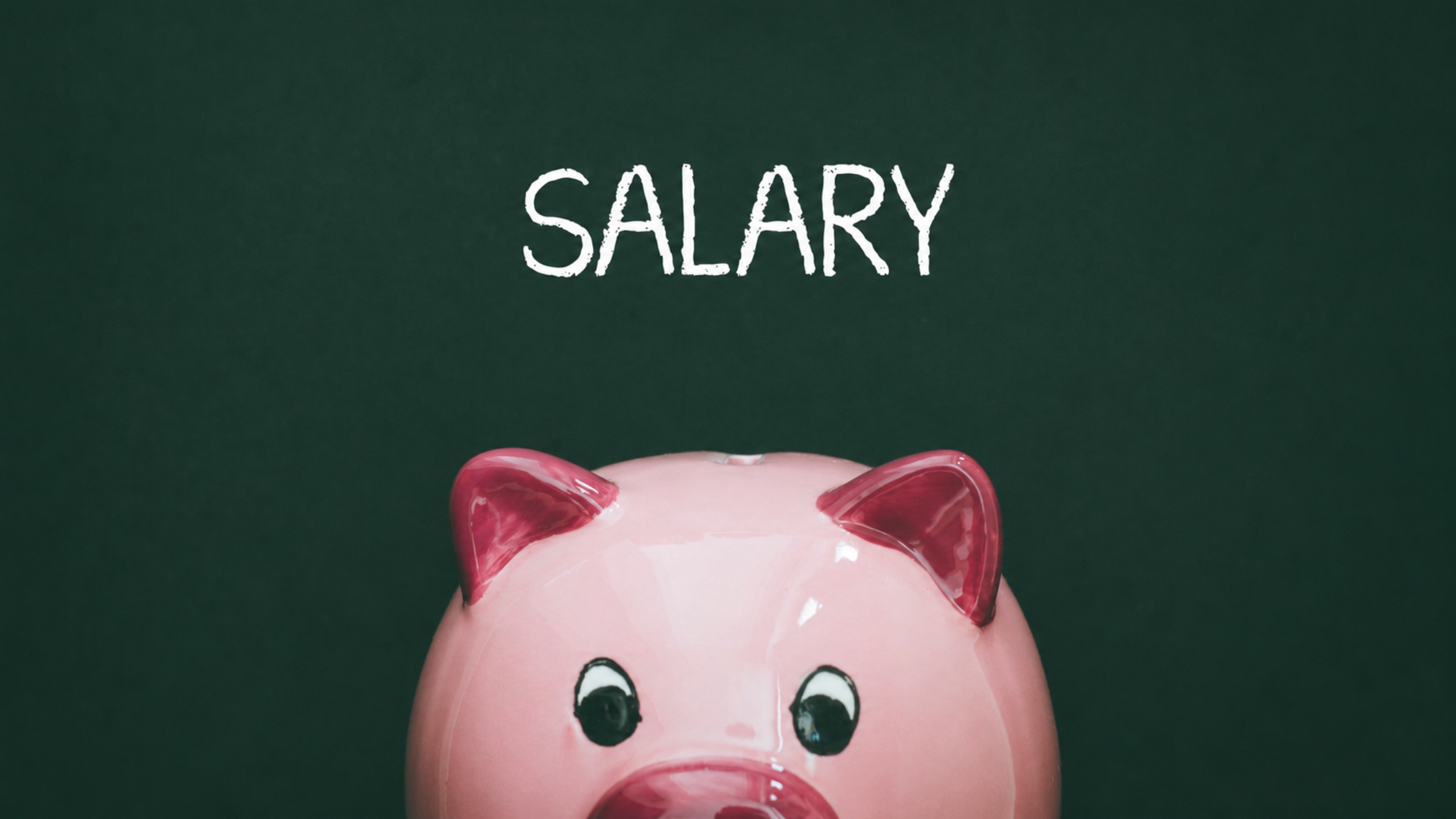 Animal Science Salary Guide: What Different Roles Pay and What Affects Compensation
