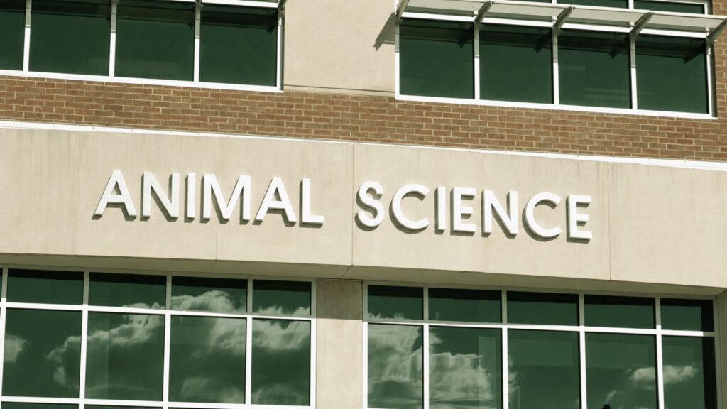 Animal Scientist Interview Questions: What to Expect in Nutrition, Production, and Technical Roles