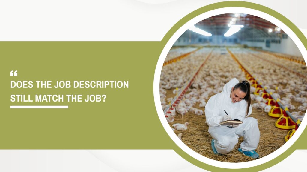 Job Descriptions Should Define the Work Ahead