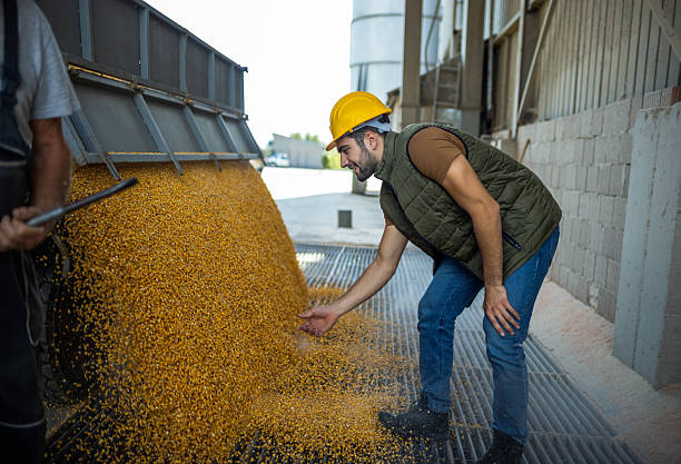 mill manager mill manager