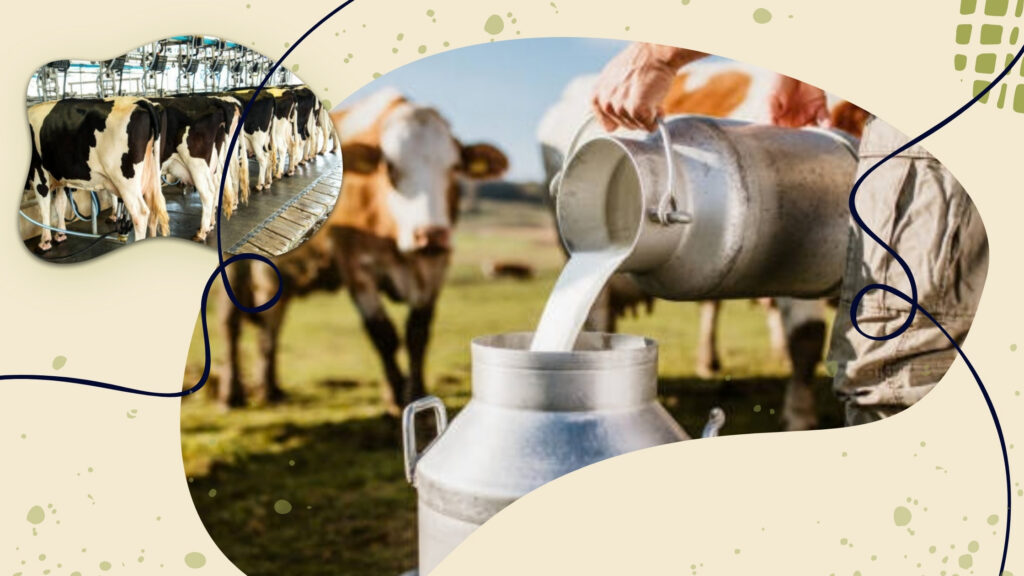 Why Dairy Hiring Has to Reach Beyond Active Applicants