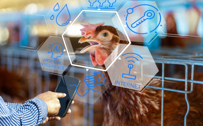 Poultry gut microbiome